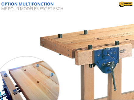 Option multifonction pour établis sculpteur luthier modèles ESC et ESCH. Équipe l’établi de perçages supplémentaires sur la mâchoire de la presse rapide et sur le plateau. Livré avec 4 poteaux de serrage additionnels